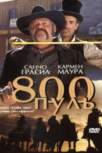 800 пуль